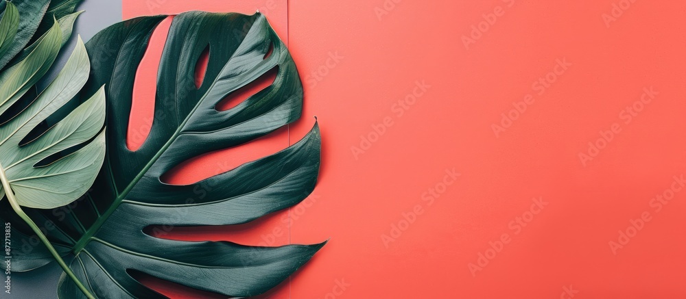Leinwandbilder flat lay view of a tropical plant leaf on a coral and grey paper background, creating a minimalistic