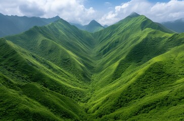 Obraz premium Lush green mountain landscape