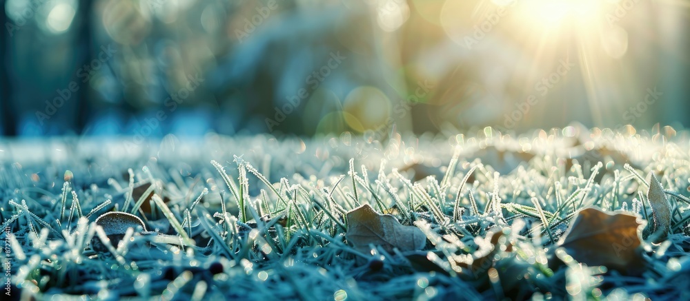 Poster winter frost covering leaves and grass creates a scenic background with ample copy space image.