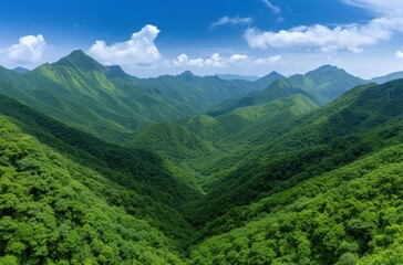 Naklejka premium Lush green mountain landscape with blue sky