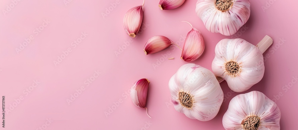 Poster top view copy space image of organic garlic bulbs on a pink background with soft reflections, embody