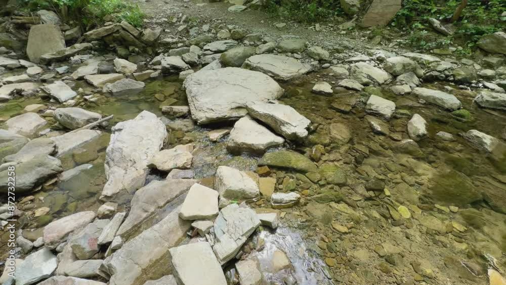 Poster mountain river in the forest in summer.