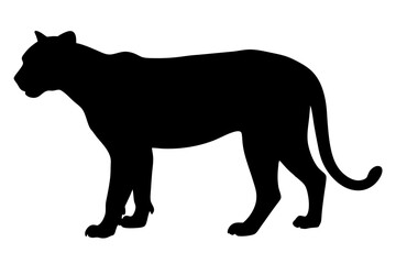 silhouette of a lion , cheetah vector illustration, cheetah silhouette, animal silhouette isolated vector Illustration, png, Funny cute cheetah, Jumping cartoon Pats