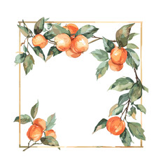 Nature's Bounty on Display: A Square Frame Highlighting Fresh Oranges and Foliage
