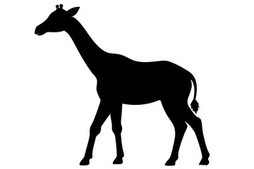 Giraffe illustration , giraffe vector illustration, giraffe silhouette, animal silhouette isolated vector Illustration, png, Funny cute giraffe, Jumping cartoon Pats