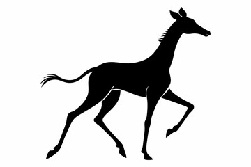 Giraffe illustration , giraffe vector illustration, giraffe silhouette, animal silhouette isolated vector Illustration, png, Funny cute giraffe, Jumping cartoon Pats