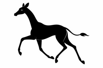 Giraffe illustration , giraffe vector illustration, giraffe silhouette, animal silhouette isolated vector Illustration, png, Funny cute giraffe, Jumping cartoon Pats