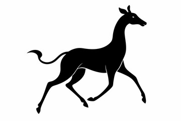 Giraffe illustration , giraffe vector illustration, giraffe silhouette, animal silhouette isolated vector Illustration, png, Funny cute giraffe, Jumping cartoon Pats