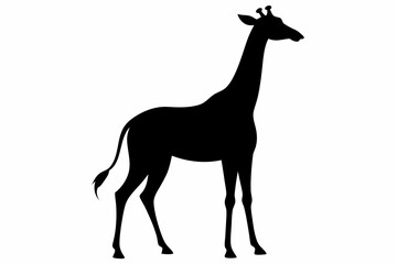 Giraffe illustration , giraffe vector illustration, giraffe silhouette, animal silhouette isolated vector Illustration, png, Funny cute giraffe, Jumping cartoon Pats