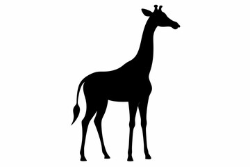 Giraffe illustration , giraffe vector illustration, giraffe silhouette, animal silhouette isolated vector Illustration, png, Funny cute giraffe, Jumping cartoon Pats