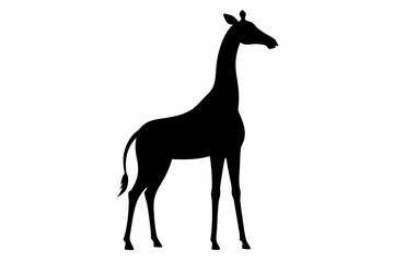 Giraffe illustration , giraffe vector illustration, giraffe silhouette, animal silhouette isolated vector Illustration, png, Funny cute giraffe, Jumping cartoon Pats