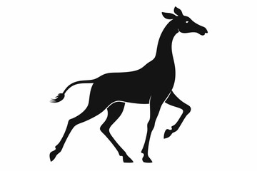 Giraffe illustration , giraffe vector illustration, giraffe silhouette, animal silhouette isolated vector Illustration, png, Funny cute giraffe, Jumping cartoon Pats