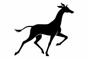 Giraffe illustration , giraffe vector illustration, giraffe silhouette, animal silhouette isolated vector Illustration, png, Funny cute giraffe, Jumping cartoon Pats