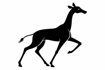 Giraffe illustration , giraffe vector illustration, giraffe silhouette, animal silhouette isolated vector Illustration, png, Funny cute giraffe, Jumping cartoon Pats