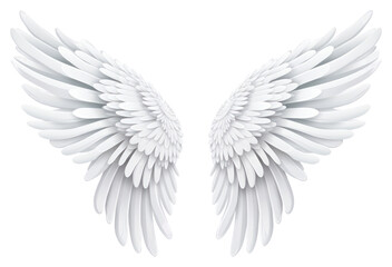 PNG Angel wing white bird white background.