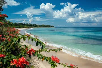 Tropical Island Getaway: A summer feast of sun, sand and blue ocean