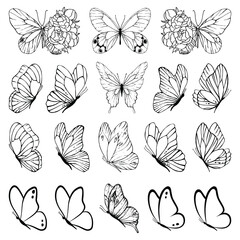 Set of black and white line butterflies. Collection of butterflies. Vector illustration. Butterflies clipart. Baby shower design elements. Party invitation, birthday celebration. Spring, summer decor