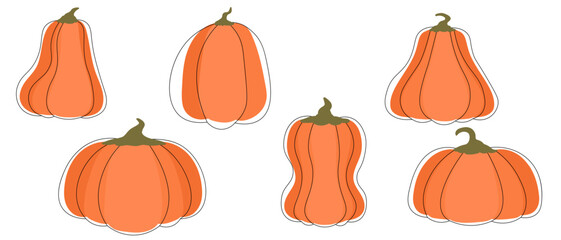 Big orange ripe pumpkins set in abstract flat style. Minimalistic monochrome pumpkins with decorative contour black lines. Isolated on white. Autumn harvest season. Natural products.