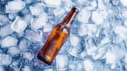 Beer bottle on ice cubes seen from above