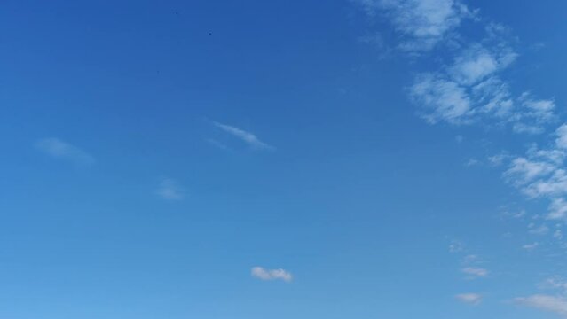 Sunrise with cirrocumulus clouds and birds flying