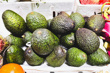 A collection of ripe avocados with bumpy, dark green skin arranged on a white tray, standing out due to their textured surface and rich color.