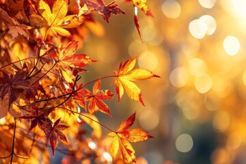 Vibrant fall foliage glistening in the sun, surrounded by soft bokeh lights soft focus light and bokeh background, AI generated