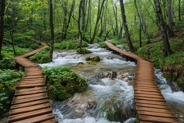 Obraz premium A wooden boardwalk built along the valley stream