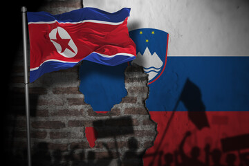 Relations between slovenia and north korea