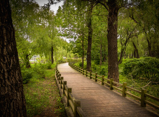 Obraz premium Beautiful scenery of the park on a rainy day, Changchun, China