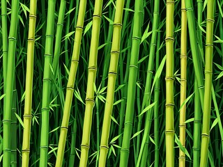 Obraz premium Lush green bamboo stalks create a natural, calming backdrop.