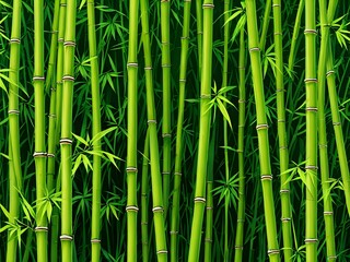 Fototapeta premium Lush green bamboo stalks with intricate details.