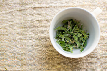 A cup with fresh mint leaves top view