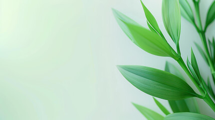 Fototapeta premium Vibrant green spring background with abstract elements, perfect for designs or presentations.