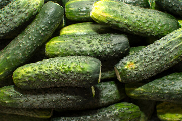Closeup view of a pile of cucumbers	