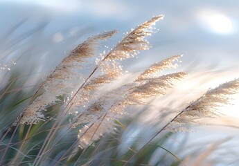 Golden Grass Blades Swaying in Breeze