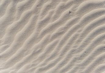 Sand texture in the beach