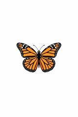Fototapeta premium A butterfly with orange wings bearing black spots and a black-and-white striped border