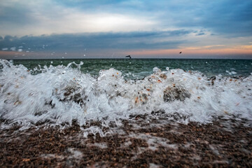 Sea, seashore  - Europe, Romania, Constanta region