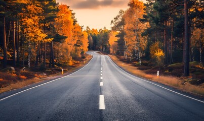 Fototapeta premium Autumn Road Through Scandinavian Forest