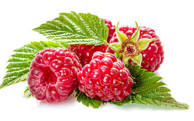 Three red raspberries and leaves on white background