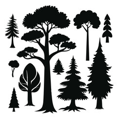 Fototapeta premium Tree sihlouette