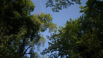 La natura in una giornata d'estate nelle Marche