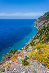 helichrysum yellow flowers, and shrubs of the Mediterranean scrub contrast with the cobalt blue and light blue sea of ​​the Costa del Sole, on the island of Elba