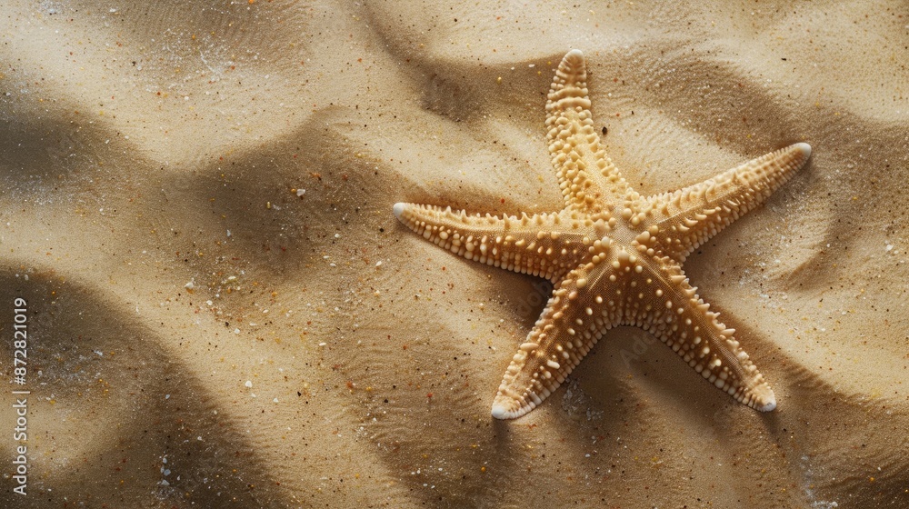 Poster starfish on pristine sand in a studio setting