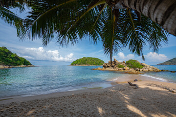 Peer through the coconut trees on the beach to see a small island surrounded by blue water..coconut...