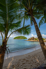 Peer through the coconut trees on the beach to see a small island surrounded by blue water..coconut palm trees at a tropical beach at Yanui beach Phuket.Beach Coconut Tree  Images and Stock Photos..