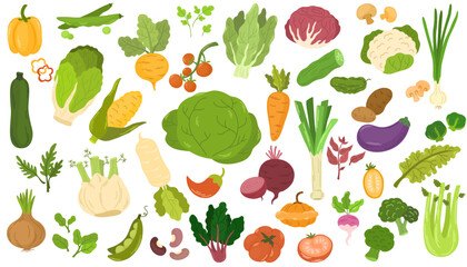 Collection of various vegetables isolated on white background. Healthy vegetarian food. Bundle of organic natural crops, salads, greens and herbs. Colorful vector illustration in flat cartoon style