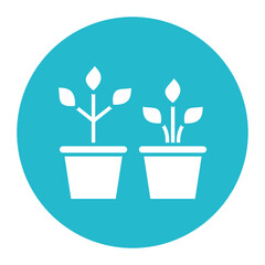 Indoor Plants vector icon. Can be used for Comfort iconset.