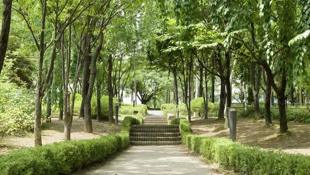 Natural Scenery of Seonyudo Park in Korea