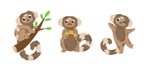 Cute marmosets in different poses.